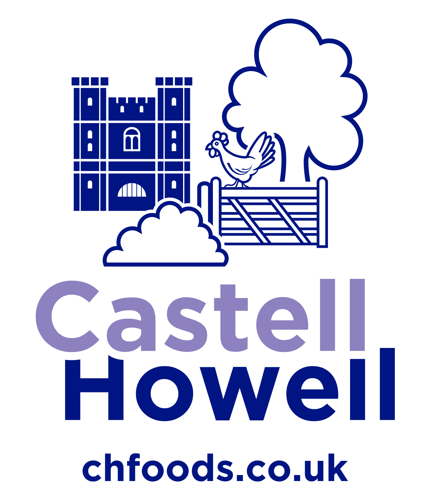 Castell Howell 